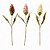 HASTE DE PROTEA OUTONAL 60CM - Imagem 2