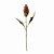 HASTE DE PROTEA OUTONAL 60CM - Imagem 3