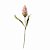 HASTE DE PROTEA OUTONAL 60CM - Imagem 4