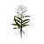 ORQUIDEA EPIDENDRUM TOQUE REAL BRANCO 48 CM - Imagem 1