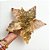 POINSETTIA DOURADO VELUDO 20X19CM - Imagem 1
