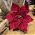 POINSETIA VERMELHO COM GUIZO 35X27CM - Imagem 1