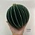 BOLA UNITARIA LISTRAS 15CM VERDE - Imagem 1