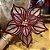 POINSETIA VOIL VINHO BORDO 45X29 8 PETALAS - Imagem 1