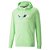 Casaco Puma BMW Motorsport Ess Fleece Masculino Verde - Imagem 1