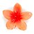 Presilha de Cabelo Farm Flor Rose - Imagem 1