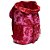 Mochila Farm Coisa Nossa Amalfi Vermelho Rosa - Imagem 4