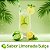 Dreams Burn Termogênico + Colágeno | Efervescentes Limonada Suíça - Kit com 2 frascos - Imagem 4