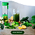Greemy Suco Verde em Pó | 21 Sachês Dreams Limão Siciliano - Imagem 4