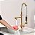 TORNEIRA COZINHA GOURMET MISTURADOR MONOCOMANDO SPRAY VIP DOURADA GOLD - Imagem 3