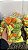 Kit Legumes 500G - Imagem 1