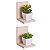 Kit 2 Prateleiras Buzios 15 X 12cm Bege Claro - Imagem 1