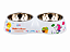 Comedouro e Bebedouro Duplo Plástico + Inox 300 ml Cães e Gatos - Imagem 4