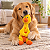 Pato de Pelúcia Amarelo para Pet 35 cm - Imagem 3