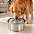 Bebedouro Flutuante para Pet Cão ou Gato em Inox 2,5L - Imagem 2