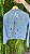 Jaqueta Jeans Margareth - Imagem 1