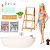 HKT92 BARBIE BANHO DE CONFETE COM BONECA - Imagem 2
