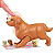 HCK75 BARBIE CACHORRINHOS RECEM NASCIDOS - Imagem 3