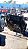 Motor OM447 - Imagem 1