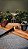 Combo Churrasco Premium - Imagem 1