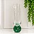 Taça Transparente Esfera Verde 250ml - Imagem 1