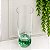 Taça Transparente Esfera Verde 250ml - Imagem 2
