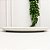 Prato Raso New White - Imagem 3