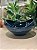 Ikebana P Fluida Azul Royal Reativa - Imagem 1