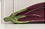Bowl Beringela - 230ml - Imagem 2