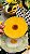 Prato Flor Girassol - Imagem 1