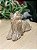 Escultura Shih Tzu Bege P - Imagem 2
