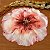 Americano Flor HD - Imagem 2