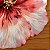 Americano Flor HD - Imagem 3
