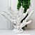 Escultura decor polirresina coral branco - Imagem 3