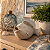 Peixe Carpa Decorativo Resina Bege - Imagem 1