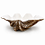 Concha Decor Resina Br/ Marrom - Imagem 3