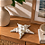 Estrela de Mesa Resina M - Imagem 1