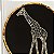 PRATO SOBREMESA ANIMAIS PRETO GIRAFA - Imagem 2