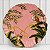 CJ 2 PRATOS RASOS PLAYFUL MONKEYS ROSA - Imagem 3