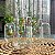 Conjunto 2 Canecas Bouquet - Imagem 5
