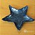 PETISQUEIRA FORMATO ESTRELA COR AZUL - Imagem 1