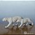 ESCULTURA DE LEOPARDO EM POLIRRESINA - Imagem 1
