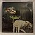 LP - Joni Mitchell - Dog eat dog - Imagem 2