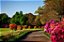 Adubo Orgânico Mineral Flores e Jardins - Imagem 6