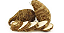 Inhame - Imagem 1