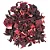 Hibisco (Hibiscus sabdariffa) – 50g - Imagem 1