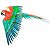 Miniatura De Montar Metal Earth Iconx Arara Parrot ICX118 - Imagem 1