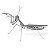 Miniatura De Montar Metal Earth Praying Mantis MMS069 - Imagem 1