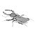Miniatura De Montar Metal Earth Besouro Stag Beetle MMS071 - Imagem 1
