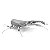 Miniatura De Montar Metal Earth Besouro Stag Beetle MMS071 - Imagem 5